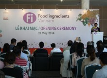 Foof ingredients Vietnam 2014 